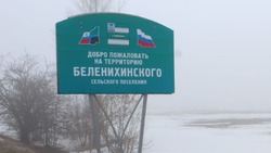 Распоряжение главы Беленихинского сельского поселения №39 от 6 марта 2025 года