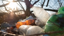 Прохоровский экоохотнадзор предупредил о несанкционированном сбросе мусора