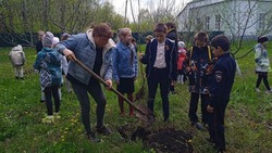 Школьники Прохоровского района присоединились к Международной акции «Сад Памяти»