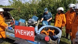 Учения команды добровольной пожарной дружины прошли в Кривошеевке Прохоровского района