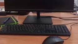 Прохоровцы смогут принять участие в онлайн – олимпиаде по окружающему миру