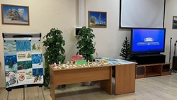 Выставку рисунков и сувениров на тему охраны леса организовали сотрудники Прохоровского ДЮЦ
