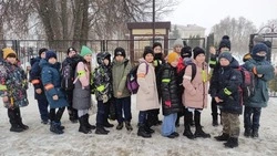 Ученики Прохоровской гимназии приняли участие в акции «Засветись в темноте»