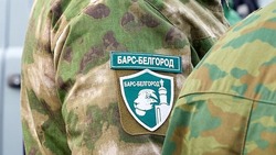 Вячеслав Гладков: продолжаем формировать отряд «БАРС-Белгород» и СГУП «Орлан» 