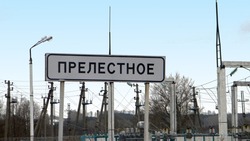 Распоряжение главы Прелестненского сельского поселения №42 от 27 марта 2025 года