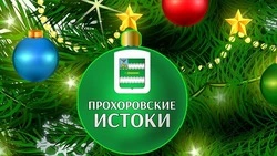 Коллектив редакции газеты «Истоки» поздравил прохоровцев с наступающим Новым годом