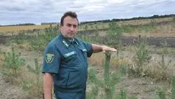 Как прохоровские лесники стали посредниками между человеком и природой