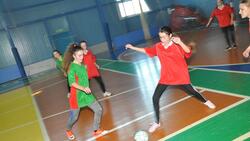 Соревнования в рамках Всероссийского проекта «Мини-футбол в школу» прошли в районе