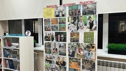 Выставка фотографий «Творчество – как источник радости» открылась в Прохоровской библиотеке