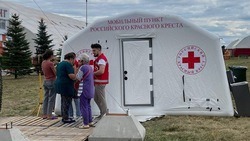 Беженцы из ЛДНР и Украины активно пользуются помощью белгородского Красного Креста   