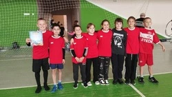 Районные соревнования «Весёлые старты» состоялись в спортзале ЦКР «Созвездие» 