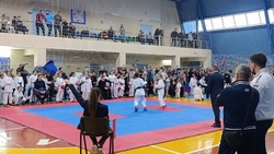 Второе открытое Первенство Прохоровского района по каратэ состоялось в спорт комплексе «Олимп» 
