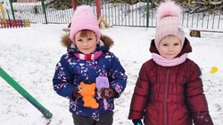 Воспитанники Призначенского детского сада узнали о свойствах снега и льда
