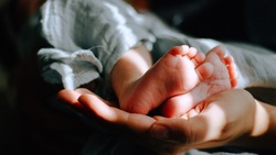 228 двойняшек родились в Белгородской области с начала 2023 года