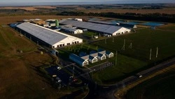 Илья Пономарёв поделился подробностями соглашения областного правительства с ГК «Зелёная Долина»