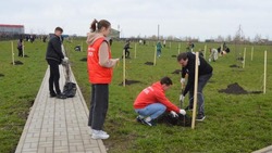 Акция «Сад памяти» прошла в Прохоровке на территории музея-заповедника