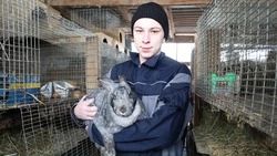Благодаря соцконтракту прохоровец Никита Кобзев занялся выращиванием кроликов