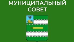  Распоряжение председателя муниципального совета № 63 от 12 марта 2025 года