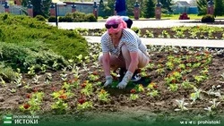 Прохоровские сотрудники благоустройства начали высадку цветов 