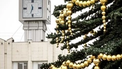 Социологическое агентство «Вебер» сообщило о планах россиян на Новый год