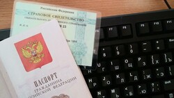 Форма выдачи СНИЛС в России изменилась с 1 апреля