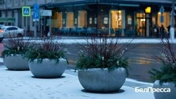 Губернатор Вячеслав Гладков сообщил о реализации программы «Содействие» в Белгородской области