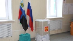 Прохоровская территориальная избирательная комиссия сообщила предварительные итоги выборов 