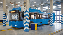 Отдельные полосы для общественного транспорта появятся в Белгороде