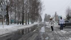 Белгородские власти попросили глав муниципалитетов взять под контроль ямочный ремонт