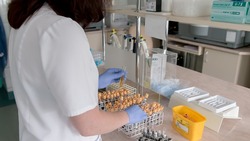 Белгородцы смогут бесплатно сдать тест на антитела к COVID-19 с 23 июня по 1 июля