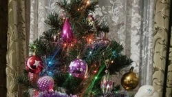 Ограничения на продажу и использование пиротехники продлены в регионе