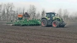 Аграрии Прохоровского мунокруга приступили к севу ранних зерновых культур