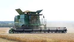 Аграрии Прохоровского района убрали около 70% ранних зерновых культур