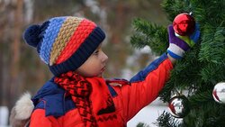 Белгородские власти примут решение о проведении детских утренников в середине декабря