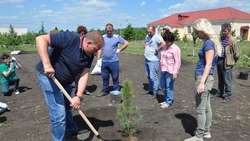 Жители Петровки посадили 25 кедров на территории села