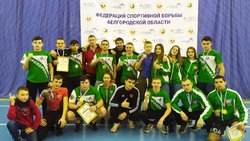 Прохоровские борцы панкратиона завоевали пять золотых медалей в областных соревнованиях