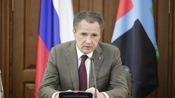 Вячеслав Гладков поздравил таможенников с профессиональным праздником