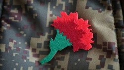 Акция «Красная гвоздика» продолжилась на территории Прохоровского района
