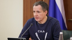 Вячеслав Гладков отчитался о доходах в рамках декларационной кампании