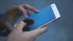 Белгородские власти запустили новое мобильное приложение «Электронный рецепт» 