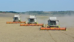 Белгородские хлеборобы убрали свыше 3 млн тонн зерновых культур 