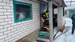 Сотрудники МЧС напомнили о важности соблюдения правил пожарной безопасности