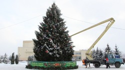 Новогодняя ёлка появится на площади Славы в Прохоровке до 10 декабря