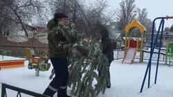 Новогодняя ёлка появилась в каждом дворе многоквартирных домов посёлка Прохоровка