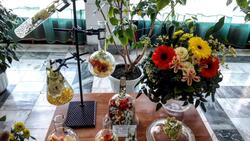 Участники выставки букетов и цветочных композиций признались в любви педагогам