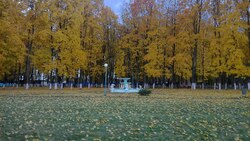 Проект «Сделаем вместе» позволит благоустроить общественные пространства в Прохоровке