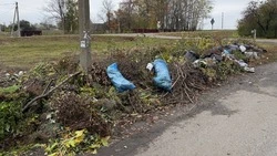 Администрация п.Прохоровка предупредила о незаконном складировании веток и растительных отходов